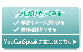 お試しボタン